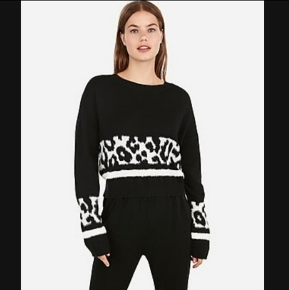 Express Cropped Sweater - Picture 6 of 6